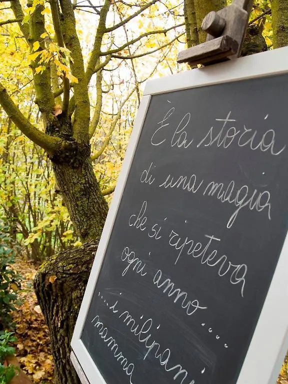 Il Vecchio Milipano Guest House Montepulciano 0*,  Italy